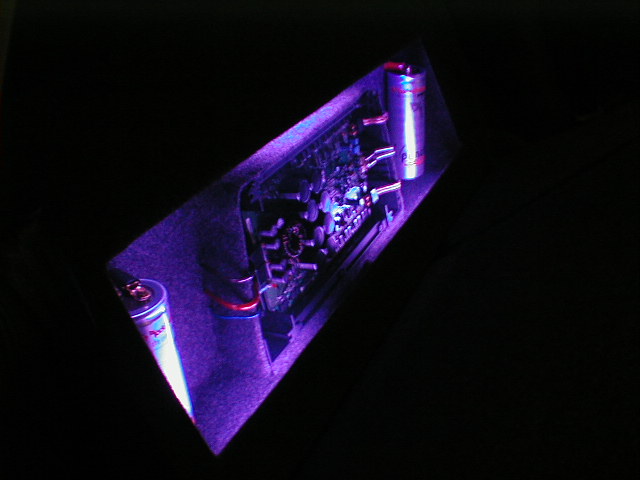 neon02.jpg
